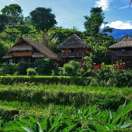Rinjani Mountain Garden Hotel Bayan Luaran gambar