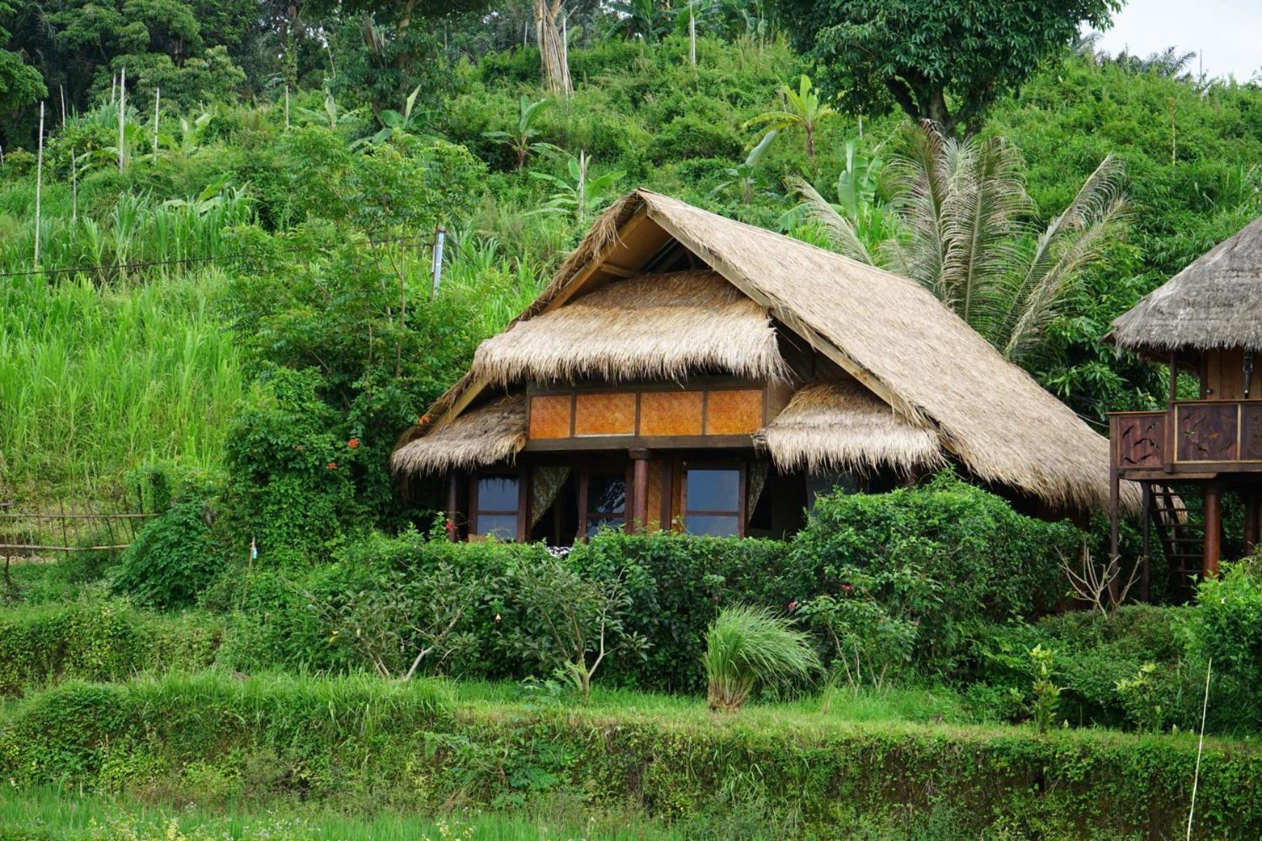 Rinjani Mountain Garden Hotel Bayan Luaran gambar