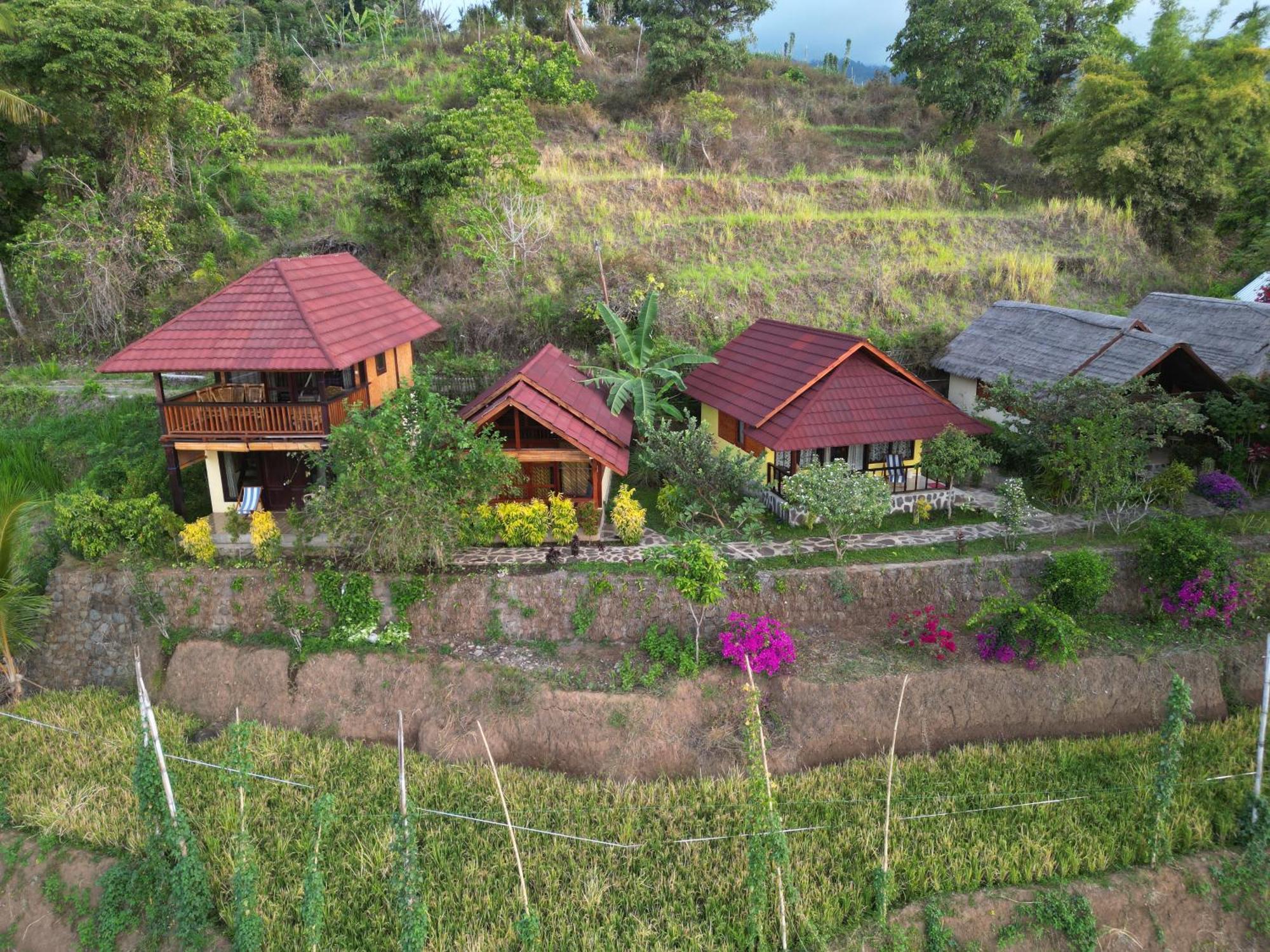 Rinjani Mountain Garden Hotel Bayan Luaran gambar