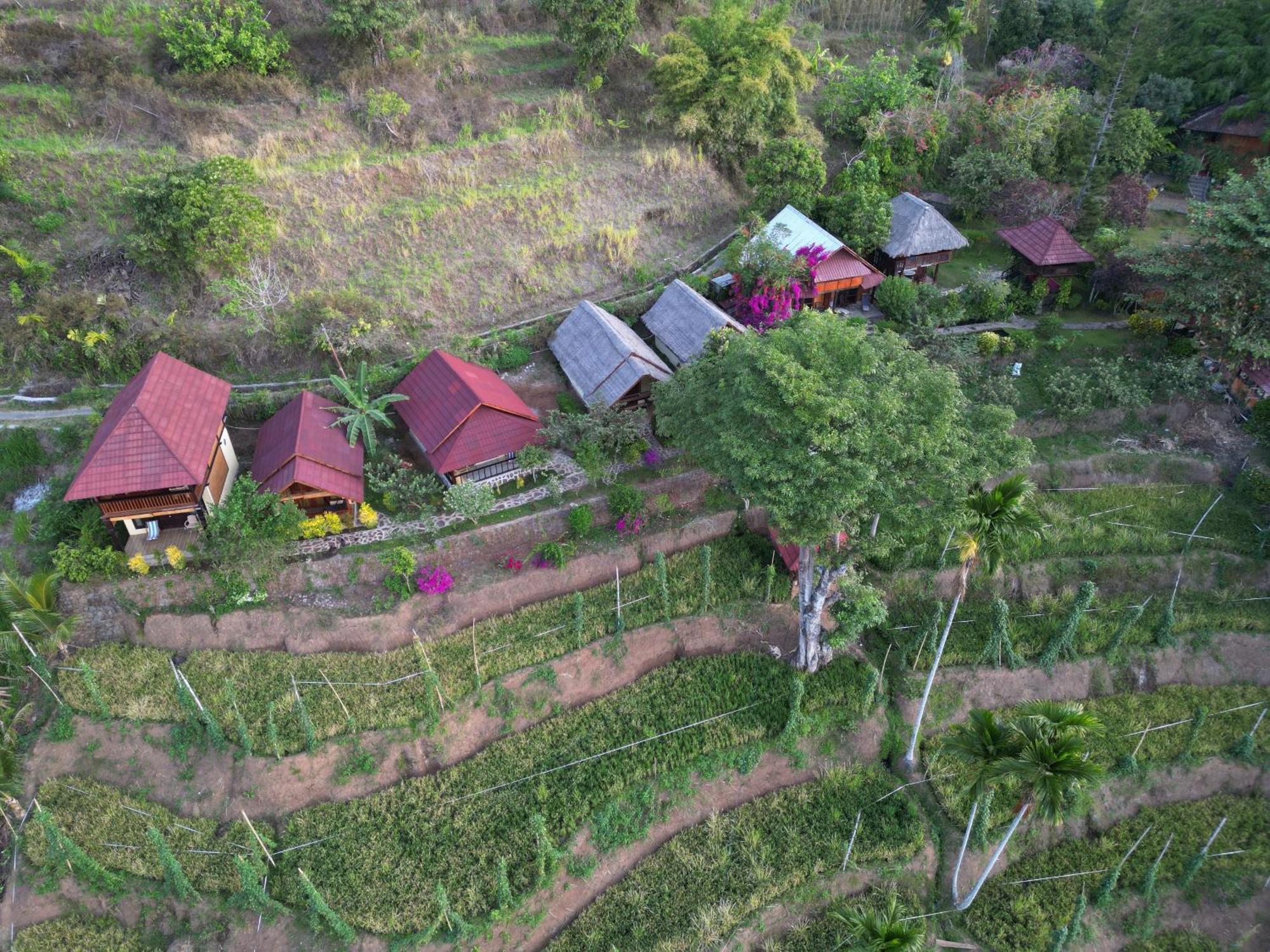 Rinjani Mountain Garden Hotel Bayan Luaran gambar