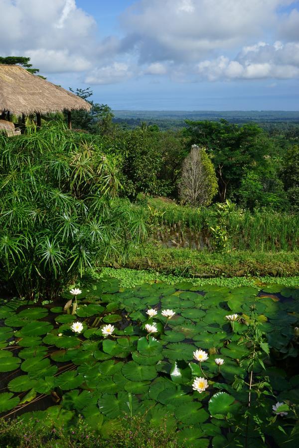 Rinjani Mountain Garden Hotel Bayan Luaran gambar