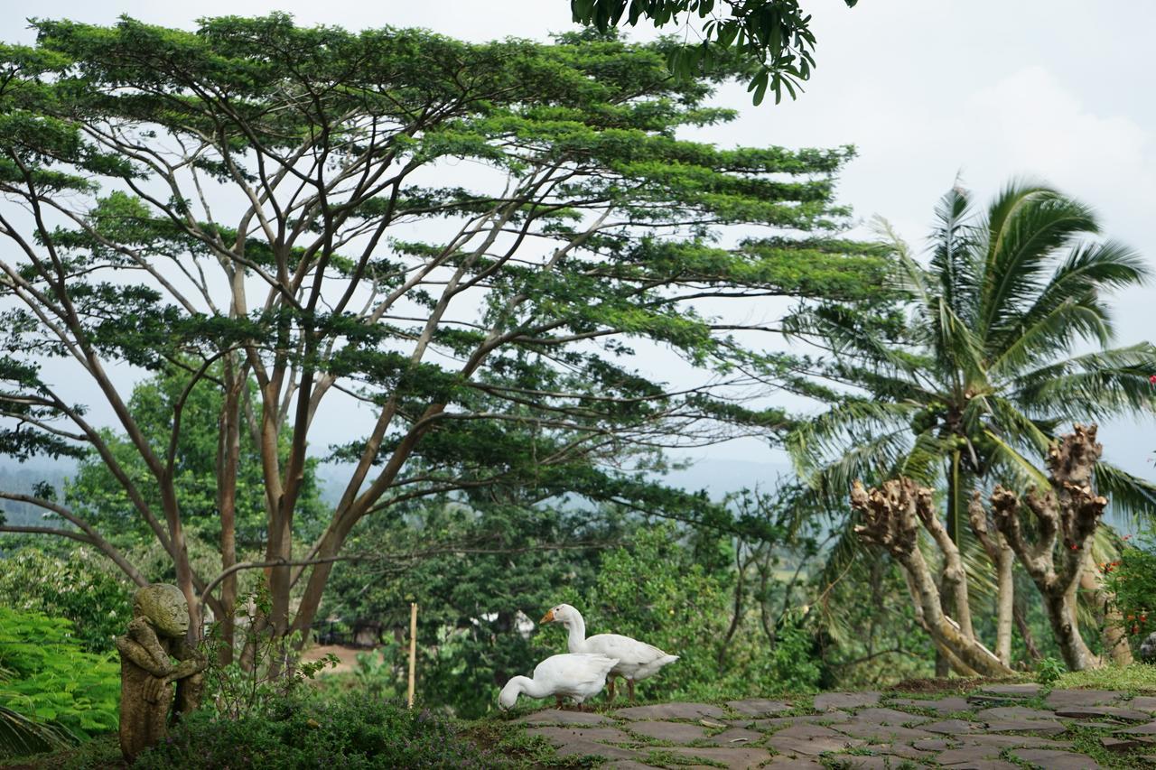 Rinjani Mountain Garden Hotel Bayan Luaran gambar