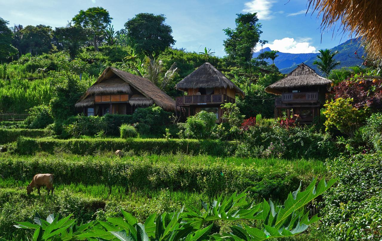 Rinjani Mountain Garden Hotel Bayan Luaran gambar